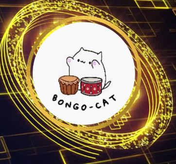 bongo cat coin