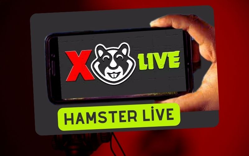 Hamster Live APK v1.0 Download for Android